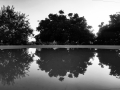 La-línea