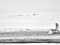 Paisaje