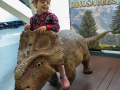 dino