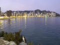 Cormoran-urbano
