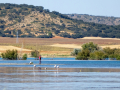 Pescadores