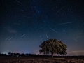 Lluvia estrellas Perseidas_0511-2